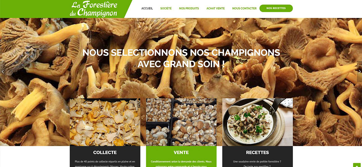 La Forestière du champignon ramassage collecte vente golbey vosges